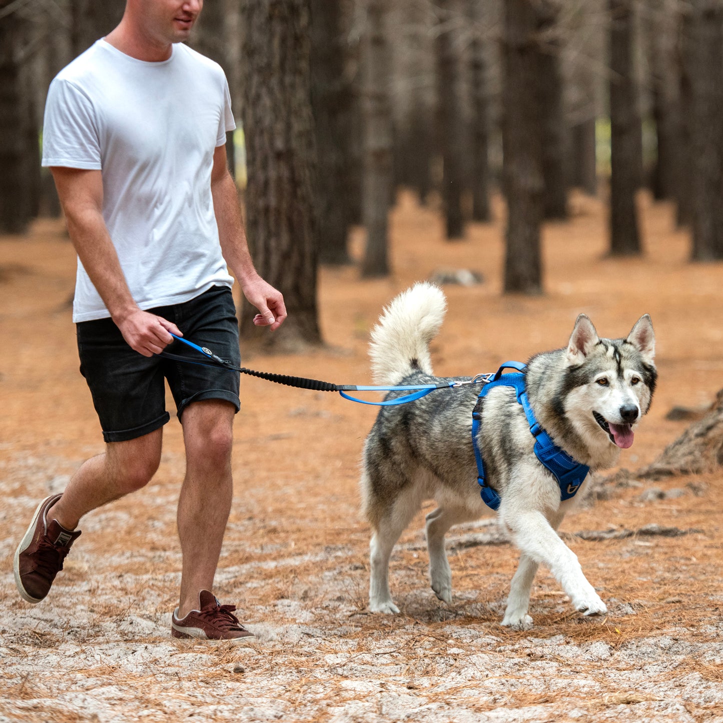 Rogz Utility Bungee Lead