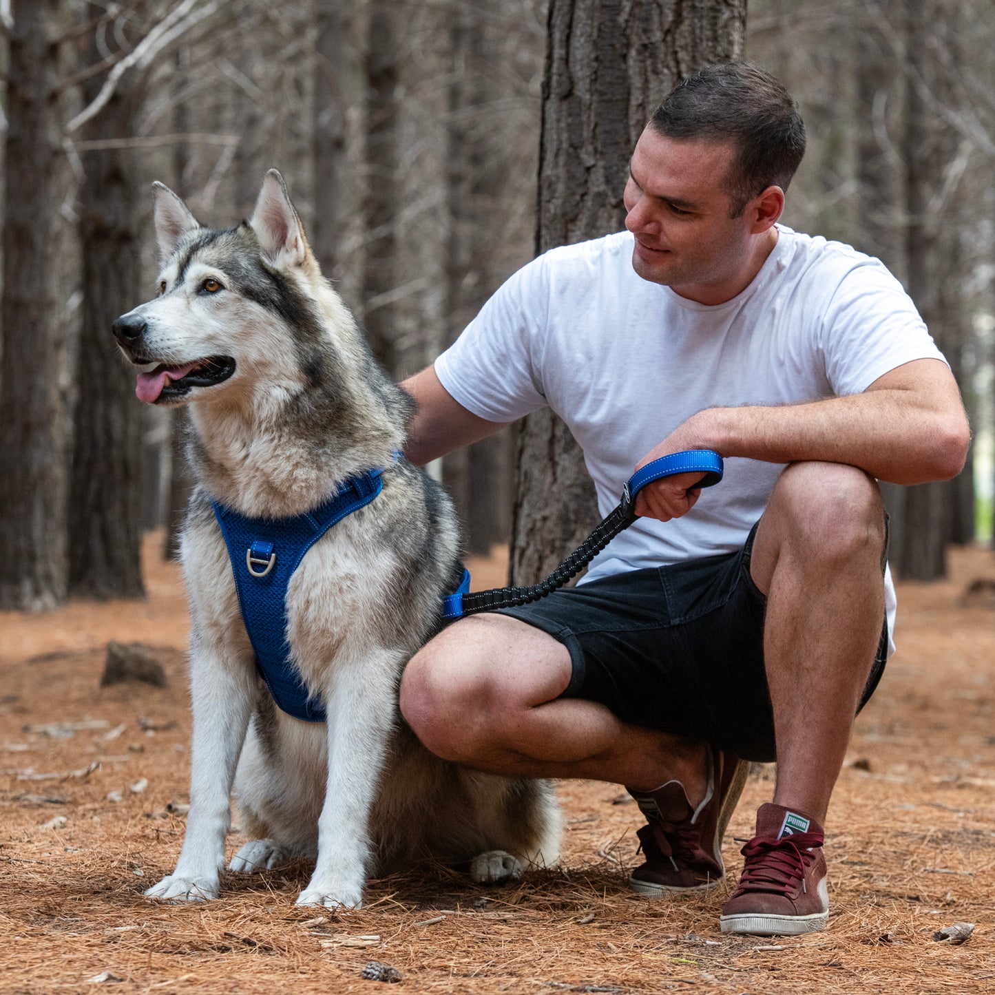 Rogz Utility Bungee Lead