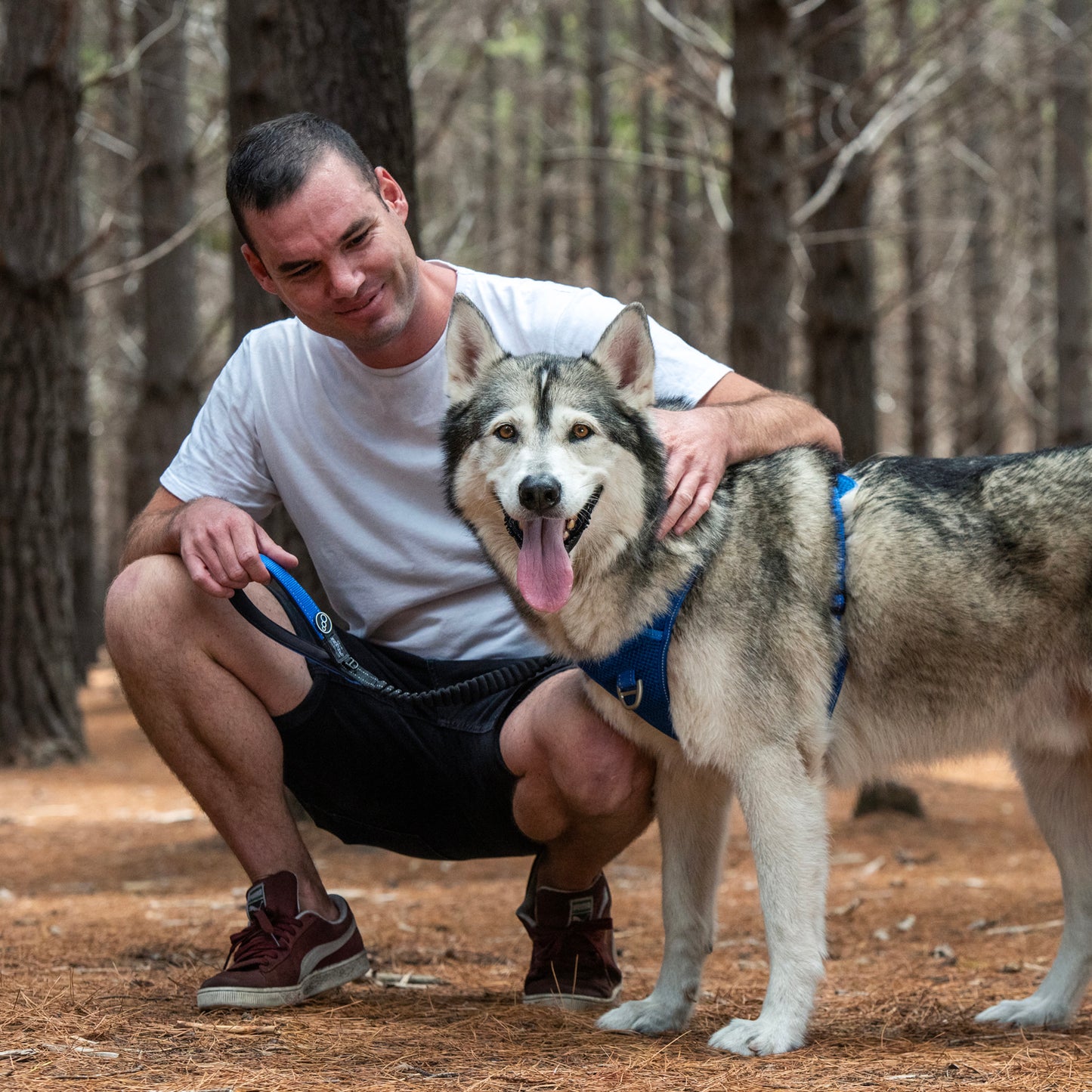 Rogz Utility Bungee Lead