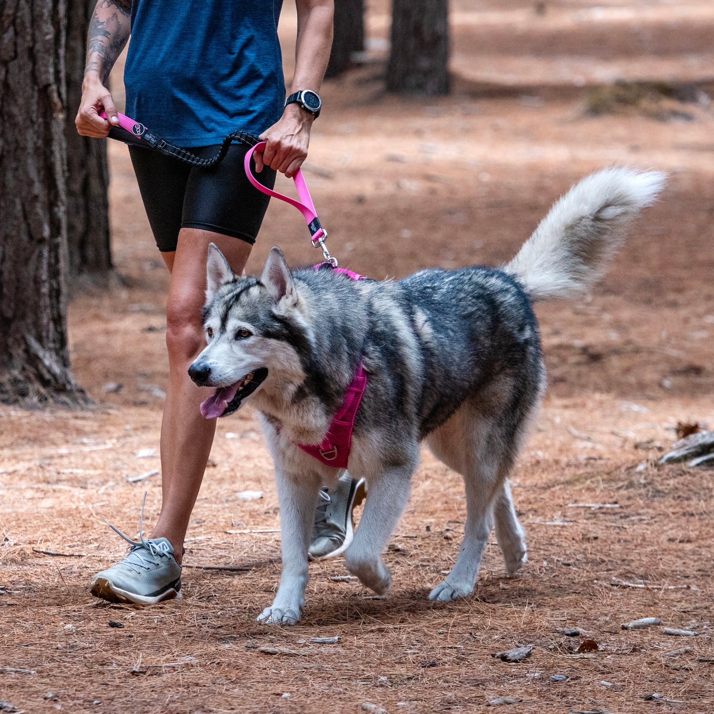 Rogz Utility Bungee Lead