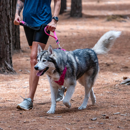 Rogz Utility Bungee Lead