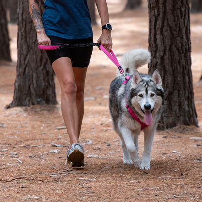 Rogz Utility Bungee Lead