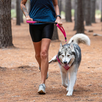 Rogz Utility Bungee Lead