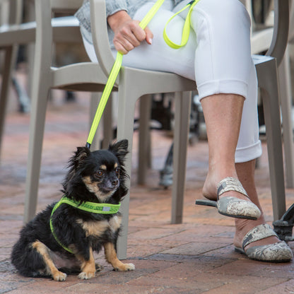 Rogz Utility Classic Lead