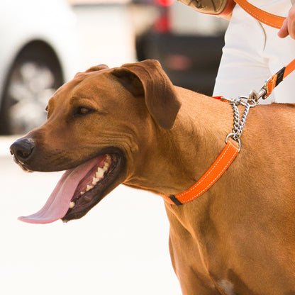 Rogz Utility Control Collar Chain