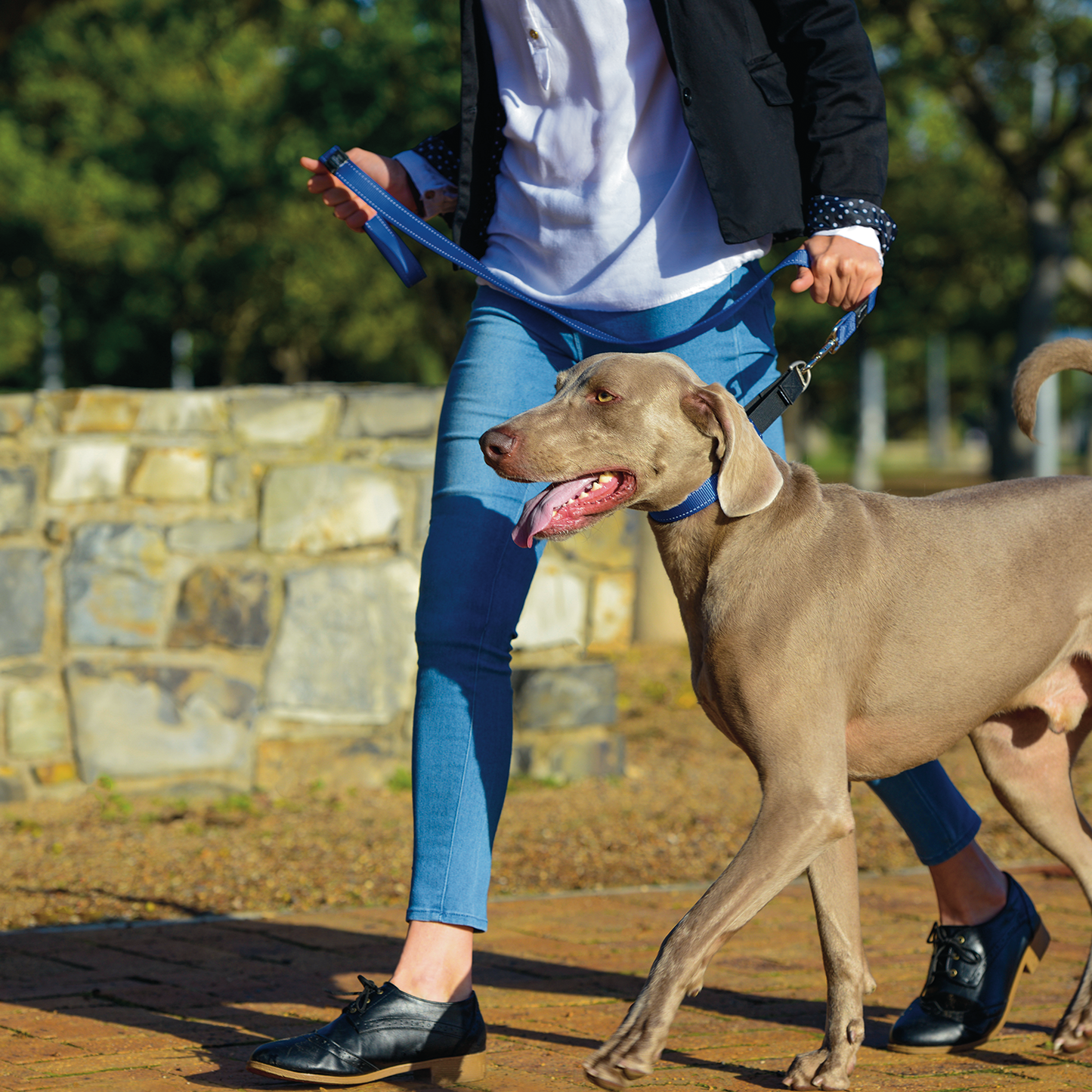 Rogz Utility Control Collar Web