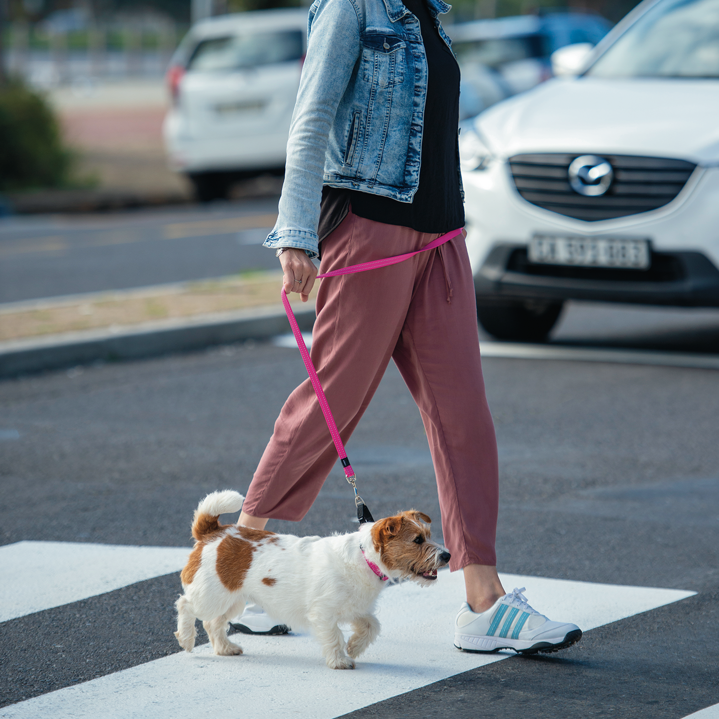 Rogz Utility Control Collar Web