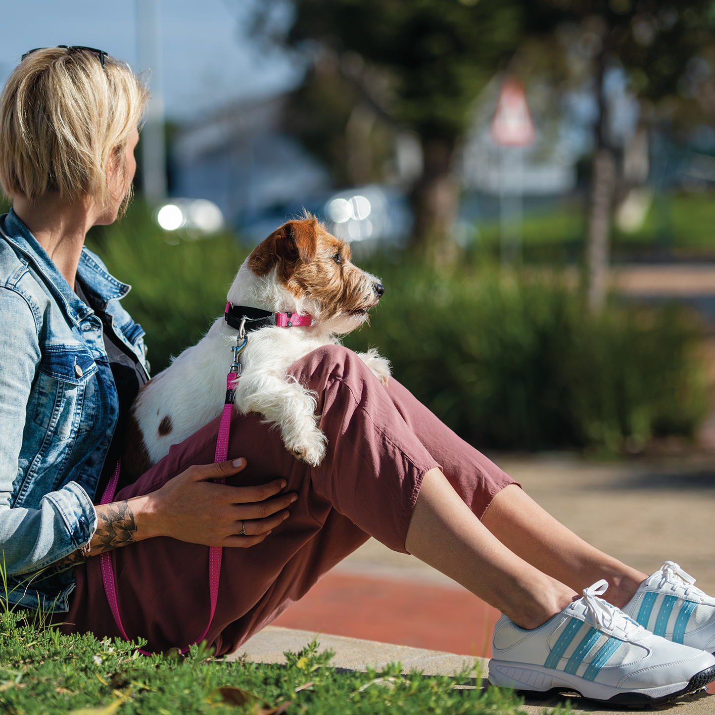 Rogz Utility Control Collar Web