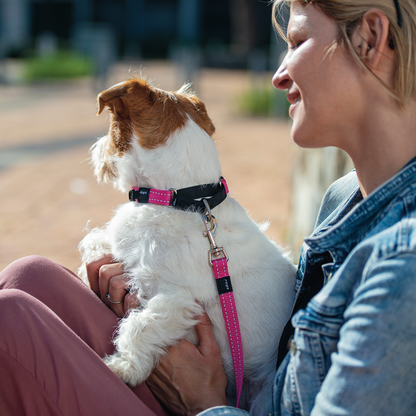 Rogz Utility Control Collar Web