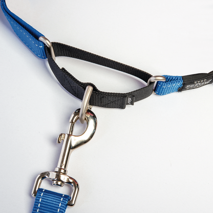 Rogz Utility Control Collar Web