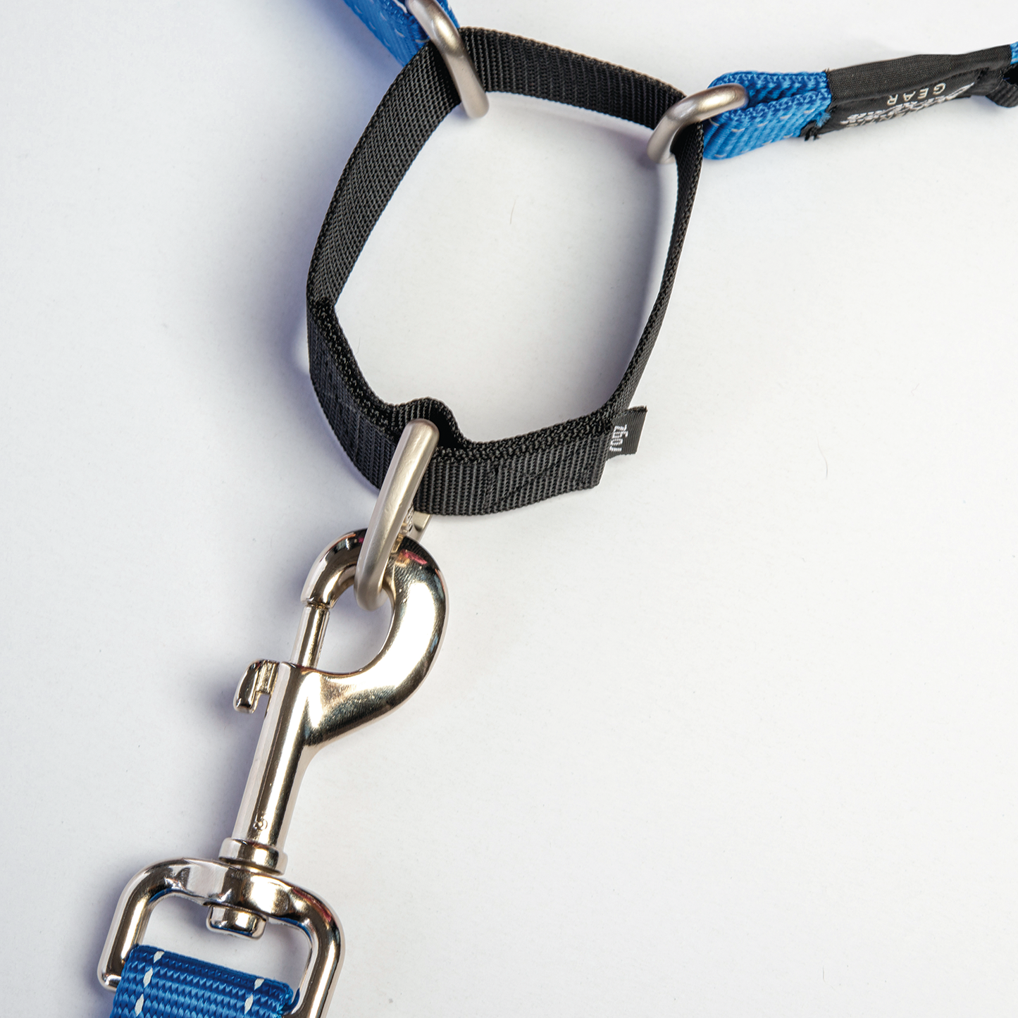 Rogz Utility Control Collar Web