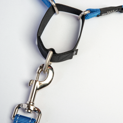 Rogz Utility Control Collar Web