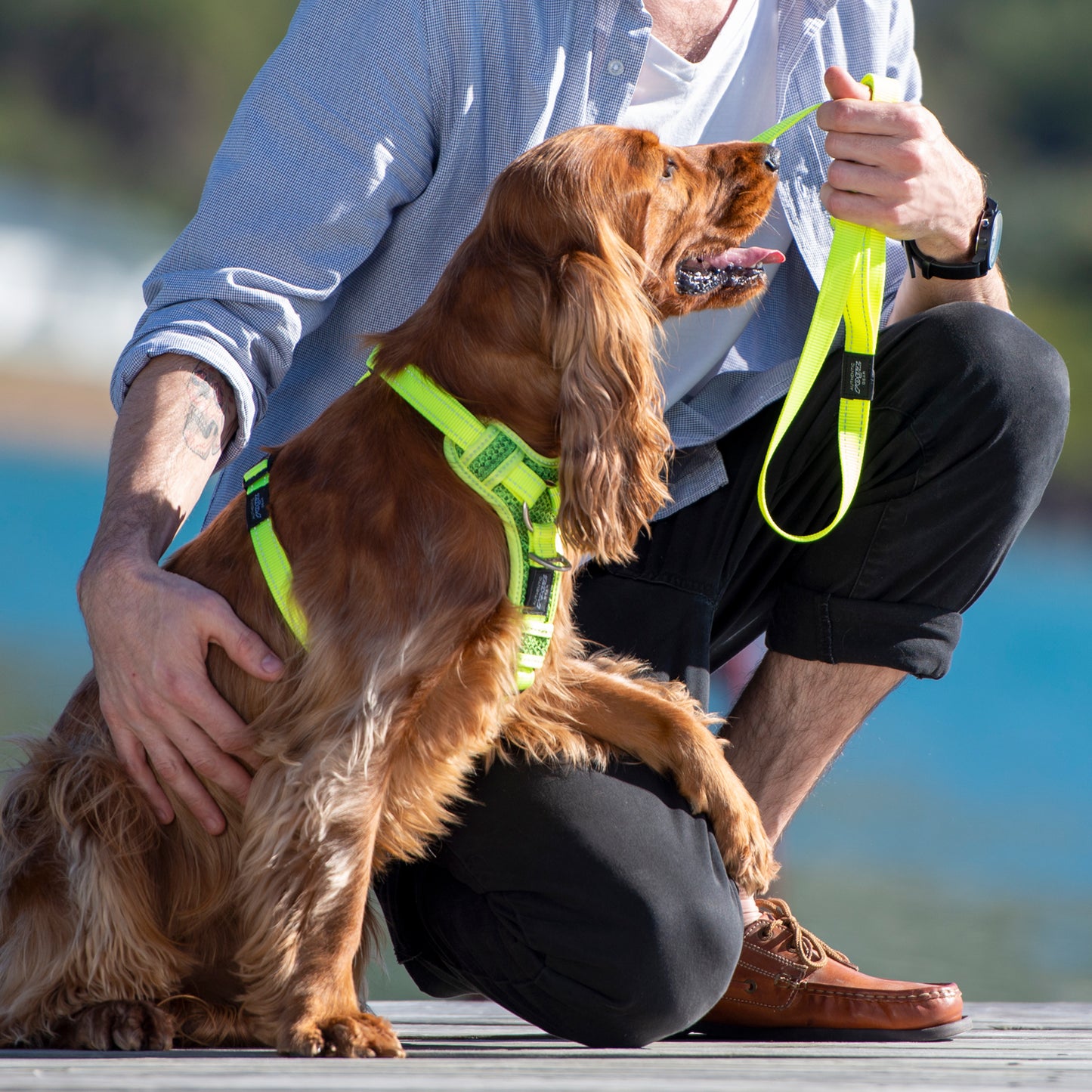 Rogz Utility Control Harness