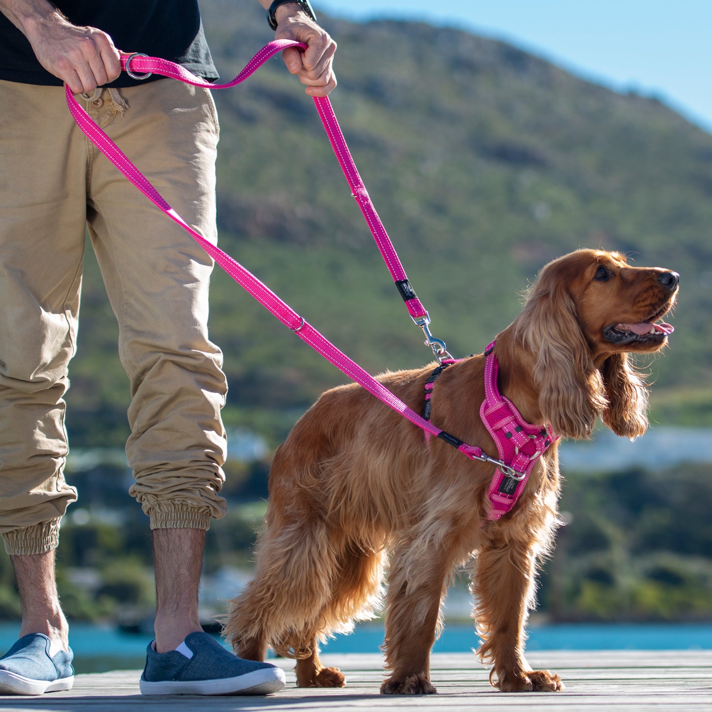 Rogz Utility Control Harness