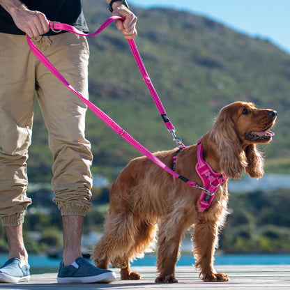 Rogz Utility Control Harness