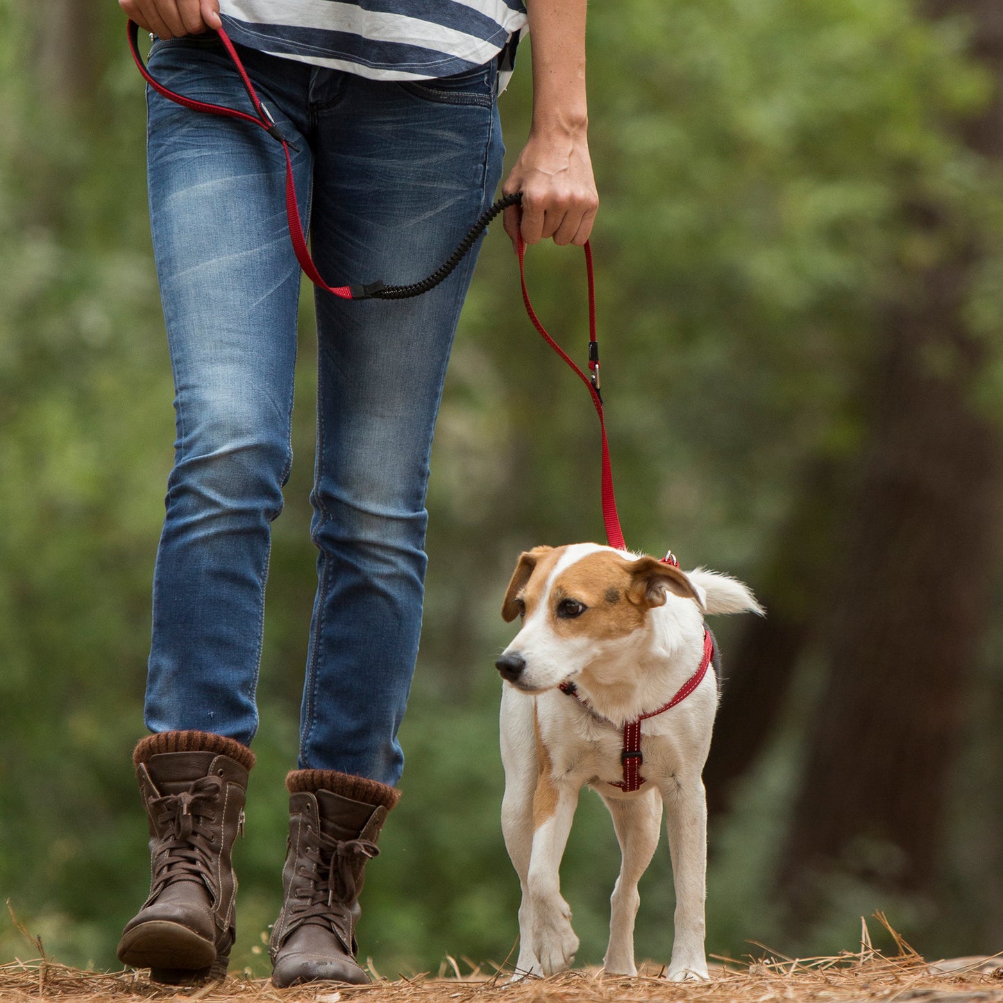 Rogz Utility Control Lead