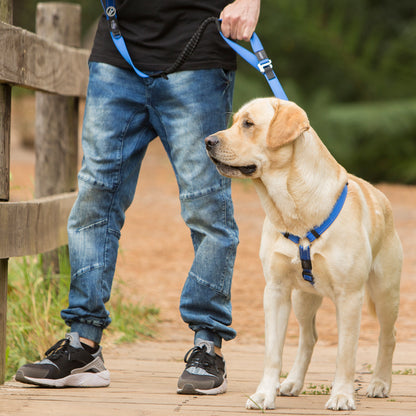 Rogz Utility Control Lead