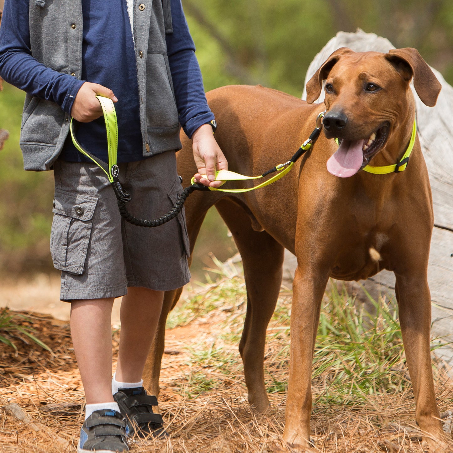 Rogz Utility Control Lead