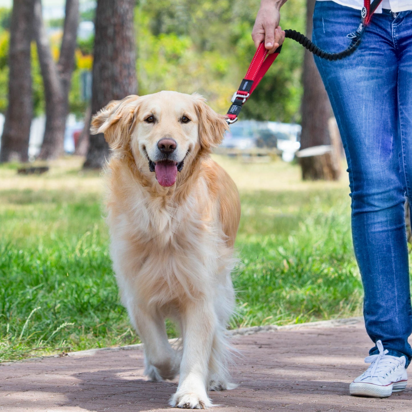 Rogz Utility Control Lead