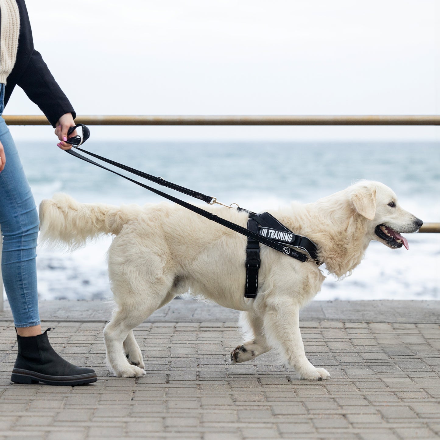Rogz Utility Letzgo Personalised Harness