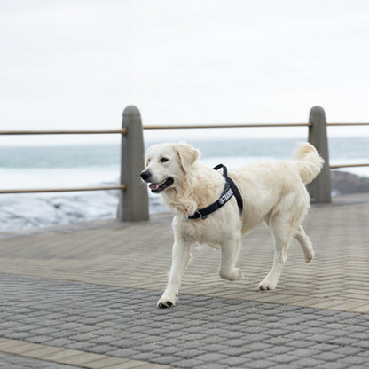 Rogz Utility Letzgo Personalised Harness