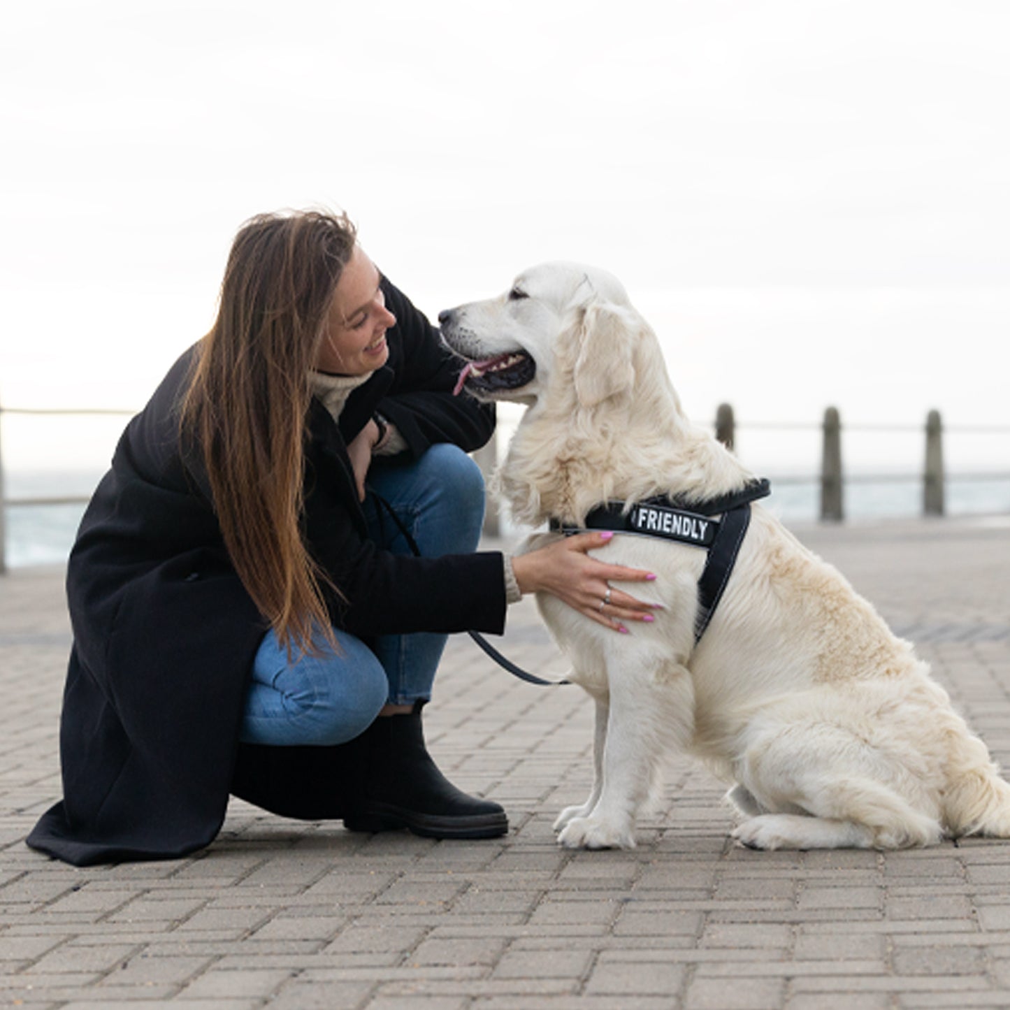 Rogz Utility Letzgo Personalised Harness