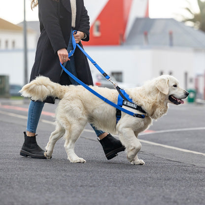 Rogz Utility Letzgo Personalised Harness