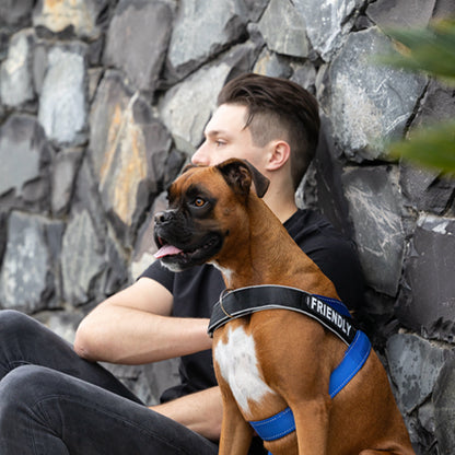 Rogz Utility Letzgo Personalised Harness