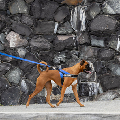 Rogz Utility Letzgo Personalised Harness