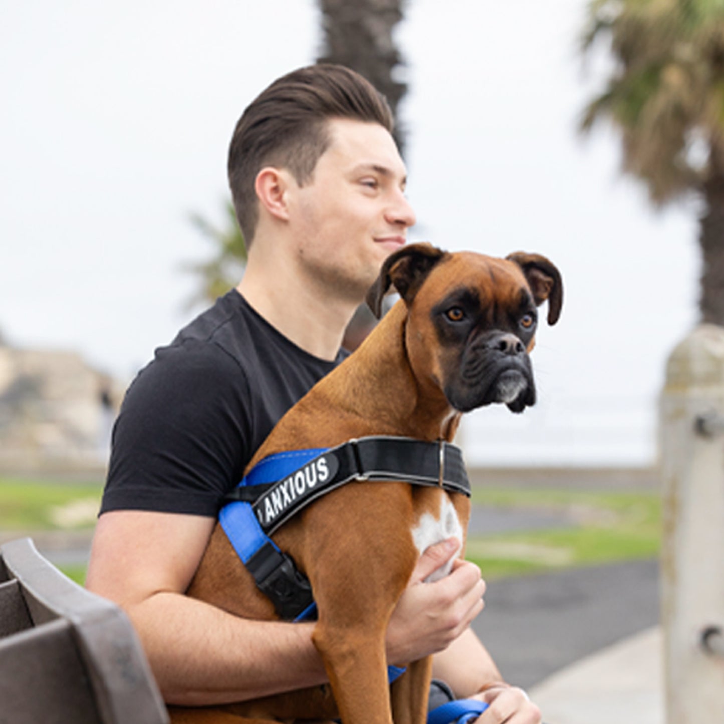 Rogz Utility Letzgo Personalised Harness
