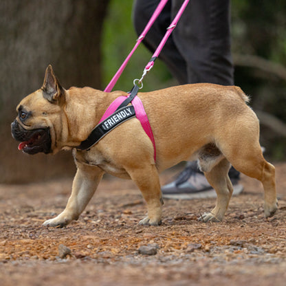 Rogz Utility Letzgo Personalised Harness