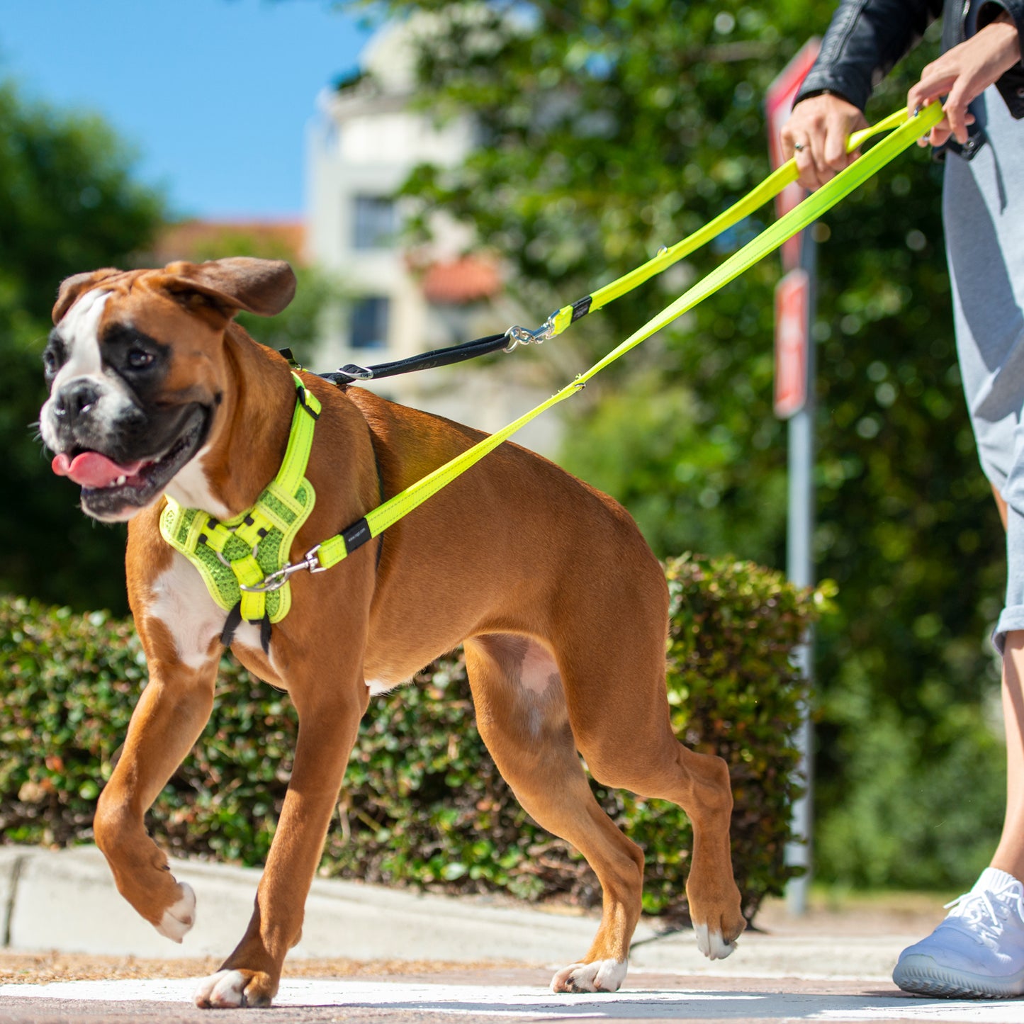 Rogz Utility Multi Lead