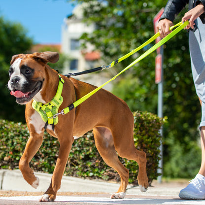 Rogz Utility Multi Lead