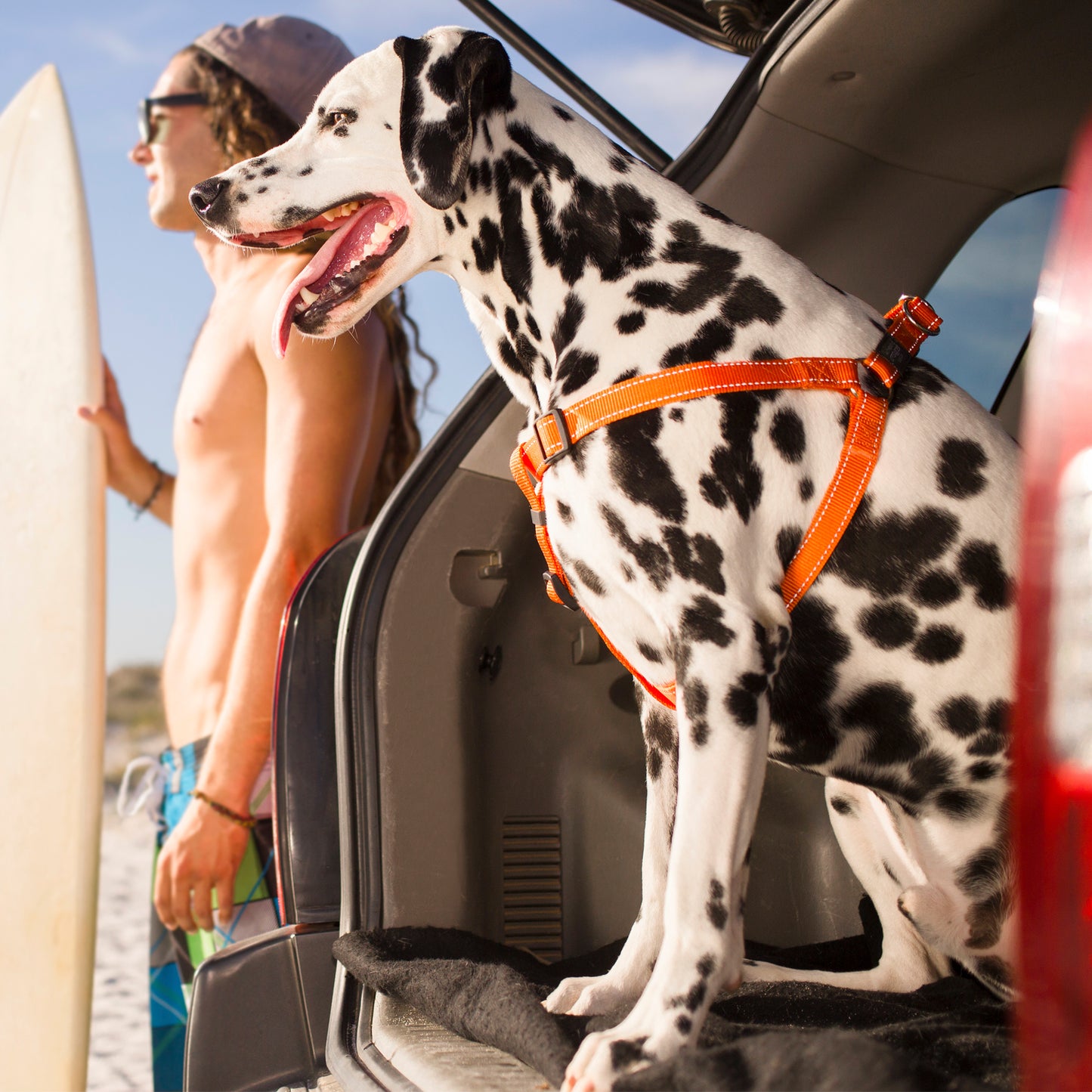 Rogz Utility Step-In Harness