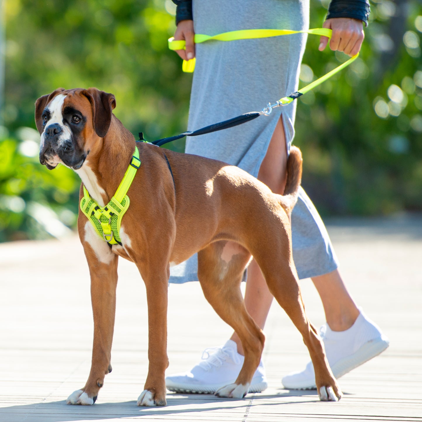 Rogz Utility Stop-Pull Harness