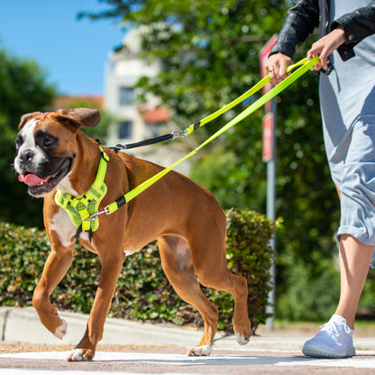 Rogz Utility Stop-Pull Harness