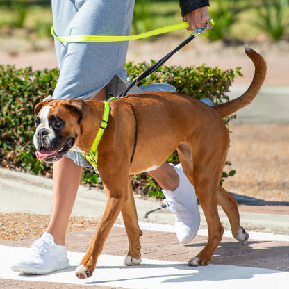 Rogz Utility Stop-Pull Harness