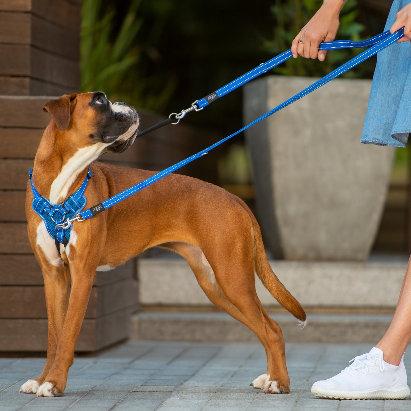 Rogz Utility Stop-Pull Harness